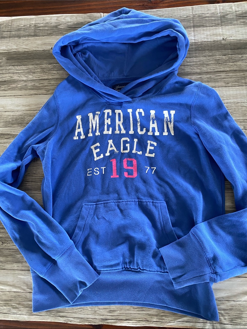 VINTAGE AMERICAN EAGLE OUTFITTERS HOODIE